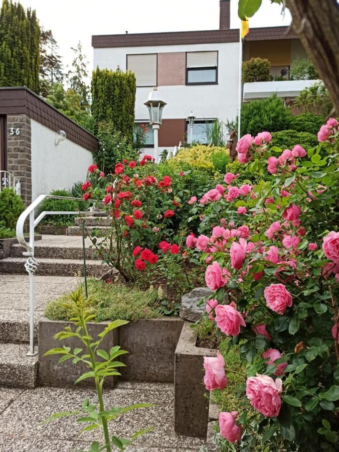 Apartments Gala, Ruhige Lage, Stadtnah سيئة كيسينجين المظهر الخارجي الصورة