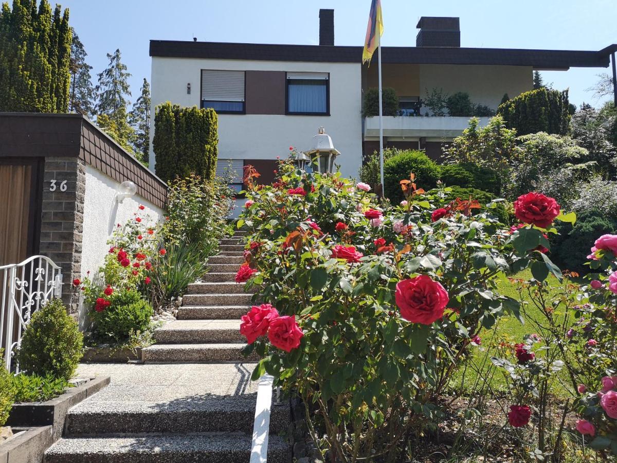 Apartments Gala, Ruhige Lage, Stadtnah سيئة كيسينجين المظهر الخارجي الصورة